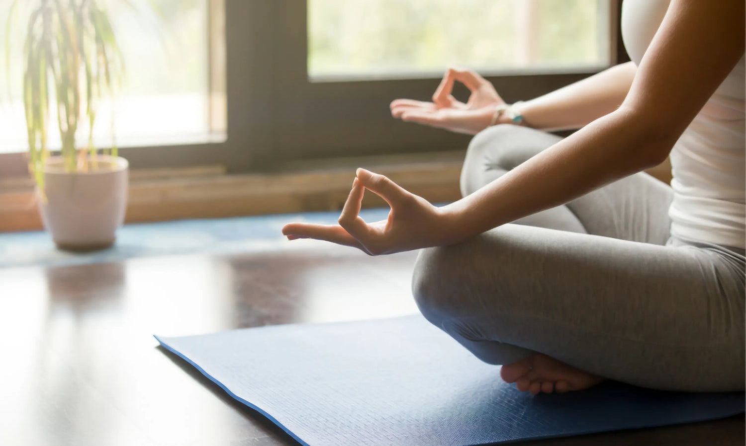 Meditación y Mindfulness