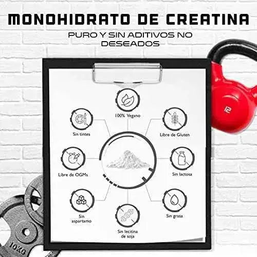 Creatina en polvo - 1kg / 1000 g - Monohidrato de creatina puro - Solubilidad óptima - Vegano - Sin aditivos - Polvo puro - German Elite Nutrition Drugstore GEN GERMAN ELITE NUTRITION Drugstore, GEN GERMAN ELITE NUTRITION, minerales y suplementos, Vitaminas SacrificioShop sacrificioshop.com Spain A Coruña B0849KTWT3 29.99 Creatina en polvo - 1kg / 1000 g - Monohidrato de creatina puro - Solubilidad óptima - Vegano - Sin aditivos - Polvo puro - German Elite Nutrition - Default Title