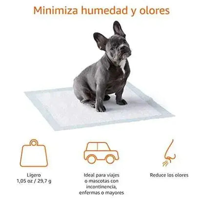 Almohadillas de Adiestramiento para Perros y Cachorros, 5 Capas, 50 Unidades Productos para animales Amazon Basics Almohadillas de entrenamiento desechables, Amazon Basics, Productos para animales SacrificioShop sacrificioshop.com {{ shop.shopifyCountryName }} {{ shop.shopifyProvince }} B00MW8G3YU 13.69 Almohadillas de Adiestramiento para Perros y Cachorros, 5 Capas, 50 Unidades - Default Title