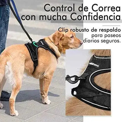 Arnés Antitirones para Perros con Líneas Reflectantes y Chaleco Acolchado Productos para animales rabbitgoo Arneses tipo chaleco, Productos para animales, rabbitgoo SacrificioShop sacrificioshop.com {{ shop.shopifyCountryName }} {{ shop.shopifyProvince }} B01M8JT6FT 21.99 Arnés Antitirones para Perros con Líneas Reflectantes y Chaleco Acolchado - Default Title