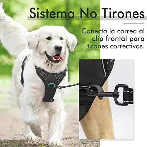 Arnés Antitirones para Perros con Líneas Reflectantes y Chaleco Acolchado Productos para animales rabbitgoo Arneses tipo chaleco, Productos para animales, rabbitgoo SacrificioShop sacrificioshop.com {{ shop.shopifyCountryName }} {{ shop.shopifyProvince }} B01M8JT6FT 21.99 Arnés Antitirones para Perros con Líneas Reflectantes y Chaleco Acolchado - Default Title