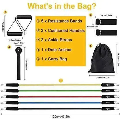 Bandas de Resistencia Crossfit 12 Piezas Bandas Elásticas Musculación con 5 Diferentes Niveles Gomas Elásticas musculación para Gimnasio en Casa Deportes JATEKA Bandas de resistencia, Deportes, JATEKA SacrificioShop sacrificioshop.com {{ shop.shopifyCountryName }} {{ shop.shopifyProvince }} B09BTQ2D1T 21.99 Bandas de Resistencia Crossfit 12 Piezas Bandas Elásticas Musculación con 5 Diferentes Niveles Gomas Elásticas musculación para Gimnasio en Casa - Default Title