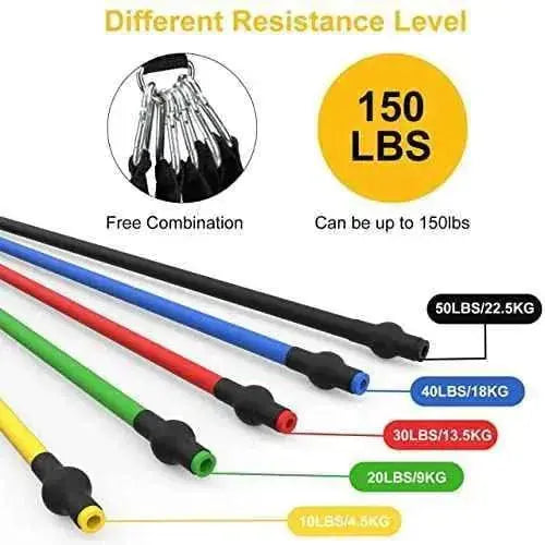 Bandas de Resistencia Crossfit 12 Piezas Bandas Elásticas Musculación con 5 Diferentes Niveles Gomas Elásticas musculación para Gimnasio en Casa Deportes JATEKA Bandas de resistencia, Deportes, JATEKA SacrificioShop sacrificioshop.com {{ shop.shopifyCountryName }} {{ shop.shopifyProvince }} B09BTQ2D1T 21.99 Bandas de Resistencia Crossfit 12 Piezas Bandas Elásticas Musculación con 5 Diferentes Niveles Gomas Elásticas musculación para Gimnasio en Casa - Default Title