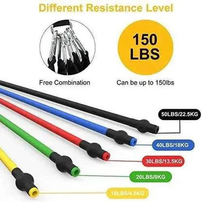 Bandas de Resistencia Crossfit 12 Piezas Bandas Elásticas Musculación con 5 Diferentes Niveles Gomas Elásticas musculación para Gimnasio en Casa Deportes JATEKA Bandas de resistencia, Deportes, JATEKA SacrificioShop sacrificioshop.com {{ shop.shopifyCountryName }} {{ shop.shopifyProvince }} B09BTQ2D1T 21.99 Bandas de Resistencia Crossfit 12 Piezas Bandas Elásticas Musculación con 5 Diferentes Niveles Gomas Elásticas musculación para Gimnasio en Casa - Default Title