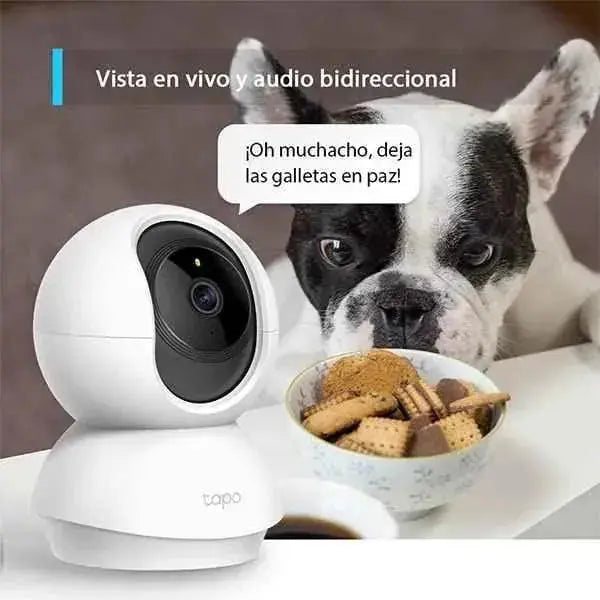 Cámara IP WiFi 360° 1080p,Visión nocturna Admite tarjeta SD,Detección de movimiento,Compatible con Alexa Ordenador personal TP-Link Cámaras en domo, Ordenador personal, TP-Link SacrificioShop sacrificioshop.com {{ shop.shopifyCountryName }} {{ shop.shopifyProvince }} B07XLML2YS 21.99 Cámara IP WiFi 360° 1080p,Visión nocturna Admite tarjeta SD,Detección de movimiento,Compatible con Alexa - Default Title