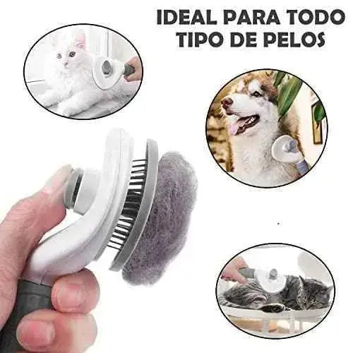 Cepillo para Perros y Gatos, Quitapelos Mascotas Antiestres, Peine Perro Gato con pelo Corto y Largo, Recoge Pelos mascotas Belleza Evabris Belleza, Cepillos, Evabris SacrificioShop sacrificioshop.com {{ shop.shopifyCountryName }} {{ shop.shopifyProvince }} B0BS79DLXH 7.49 Cepillo para Perros y Gatos, Quitapelos Mascotas Antiestres, Peine Perro Gato con pelo Corto y Largo, Recoge Pelos mascotas - Default Title