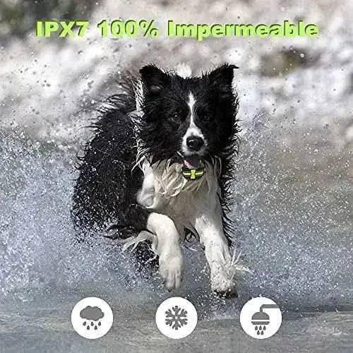 Collar de Adiestramiento para Perros, IPX7 Collar Recargable a Prueba de Agua, 4 Modos de Entrenamiento y Rango Remoto de 500 Metros Productos para animales IHPUKIDI Collares antiladridos, IHPUKIDI, Productos para animales SacrificioShop sacrificioshop.com {{ shop.shopifyCountryName }} {{ shop.shopifyProvince }} B092YZRT7M 32.99 Collar de Adiestramiento para Perros, IPX7 Collar Recargable a Prueba de Agua, 4 Modos de Entrenamiento y Rango Remoto de 500 Metros - Default Title