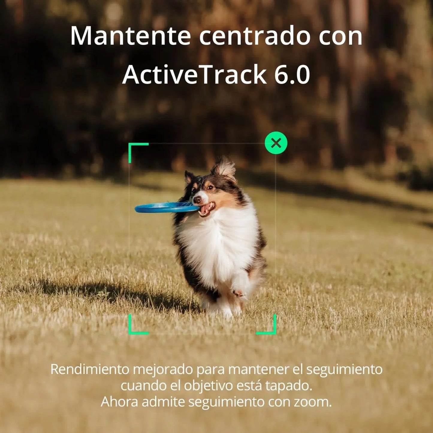 DJI, Estabilizador inteligente Osmo Mobile SE en tres ejes para teléfonos, portátil y plegable, brazo extensible integrado - SacrificioShop