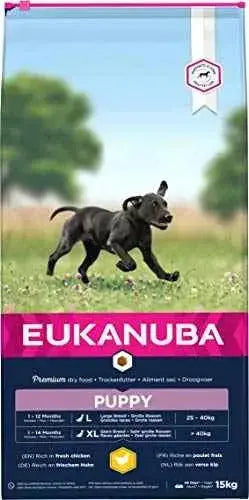 Eukanuba Alimento seco para cachorros de raza grande, rico en pollo fresco 15 kg Productos para animales EUKANUBA EUKANUBA, Productos para animales, Seca SacrificioShop sacrificioshop.com {{ shop.shopifyCountryName }} {{ shop.shopifyProvince }} B0015PZ3RY 37.49 Eukanuba Alimento seco para cachorros de raza grande, rico en pollo fresco 15 kg - Default Title