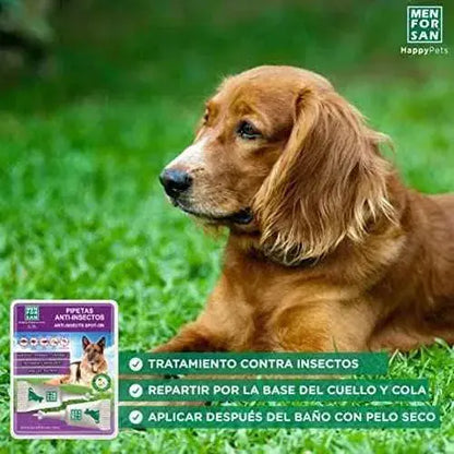 MENFORSAN Pipetas Anti-Insectos para Perros con Margosa, Geraniol y Lavandino, contra Pulgas, Garrapatas e insectos, 2 unidades Productos para animales MENFORSAN MENFORSAN, Productos para animales, Repelentes de insectos SacrificioShop sacrificioshop.com {{ shop.shopifyCountryName }} {{ shop.shopifyProvince }} B073FX9DKV 6.99 MENFORSAN Pipetas Anti-Insectos para Perros con Margosa, Geraniol y Lavandino, contra Pulgas, Garrapatas e insectos, 2 unidades - Default Title