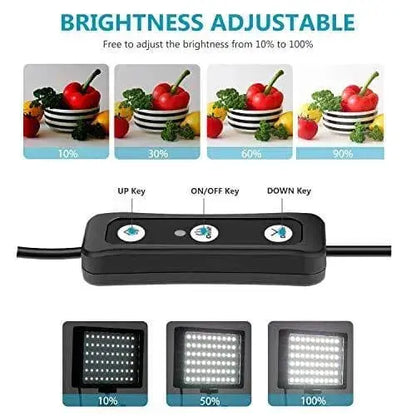 Neewer 2 X Luz de Vídeo LED USB de Regulables 5600K con Soporte de Trípode Profesional y Filtros de Color para Grabación Cámara NEEWER Cámara, Iluminación continua, NEEWER SacrificioShop sacrificioshop.com {{ shop.shopifyCountryName }} {{ shop.shopifyProvince }} B07T8FBZC2 44.49 Neewer 2 X Luz de Vídeo LED USB de Regulables 5600K con Soporte de Trípode Profesional y Filtros de Color para Grabación - Default Title