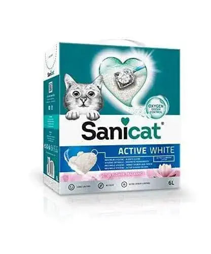 Sanicat Active Arena De Gato, Ultra Aglomerante, Aroma de Flor de Loto, 6L Productos para animales Sanicat Arena, Productos para animales, Sanicat SacrificioShop sacrificioshop.com {{ shop.shopifyCountryName }} {{ shop.shopifyProvince }} B012H6JLAE 14.74 Sanicat Active Arena De Gato, Ultra Aglomerante, Aroma de Flor de Loto, 6L - Default Title