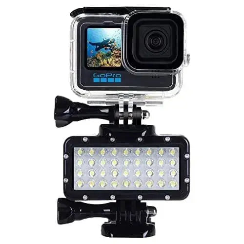 Suptig luz de Buceo de Alta Potencia Regulable Impermeable LED Video Light luz subacuática Impermeable Cámara Suptig Cámara, Cámaras deportivas y accesorios, Suptig SacrificioShop sacrificioshop.com {{ shop.shopifyCountryName }} {{ shop.shopifyProvince }} B07BCC4VQW 21.89 Suptig luz de Buceo de Alta Potencia Regulable Impermeable LED Video Light luz subacuática Impermeable - Default Title