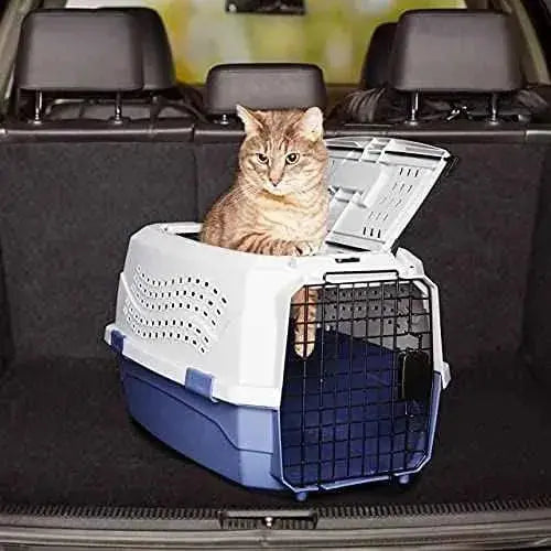 Trasportín de 2 puertas con carga superior, 58 cm Productos para animales Amazon Basics Accesorios para viajar con perros, Amazon Basics, Productos para animales SacrificioShop sacrificioshop.com {{ shop.shopifyCountryName }} {{ shop.shopifyProvince }} B00OP6SVJW 42.51 Trasportín de 2 puertas con carga superior, 58 cm - Default Title