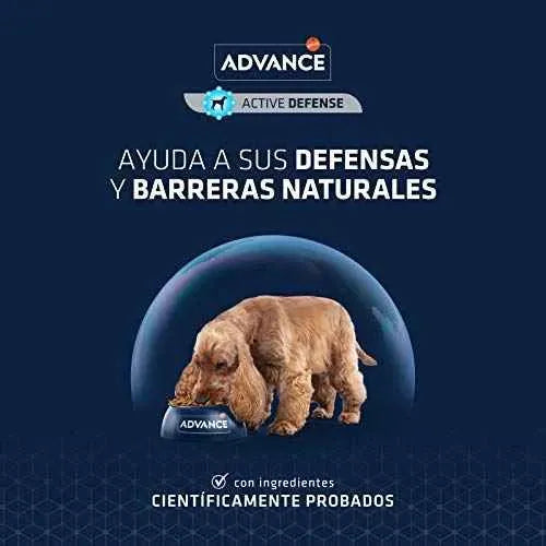 Advance Mini Adult con Pollo y Arroz 3kg Productos para animales Advance Advance, Productos para animales, Seca SacrificioShop sacrificioshop.com {{ shop.shopifyCountryName }} {{ shop.shopifyProvince }} B00388REL4 17.48 Advance Mini Adult con Pollo y Arroz 3kg - Default Title