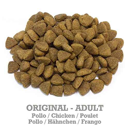 Arquivet Original Adult - Pienso para Perros Adultos - Pollo y arroz - Alimento seco para Perros - Pienso Saludable - 12 kg Productos para animales Arquivet Arquivet, Productos para animales, Seca SacrificioShop sacrificioshop.com Spain A Coruña B08WJ6NC3L 26.19 Arquivet Original Adult - Pienso para Perros Adultos - Pollo y arroz - Alimento seco para Perros - Pienso Saludable - 12 kg - Default Title