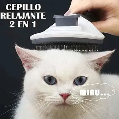 Cepillo para Perros y Gatos, Quitapelos Mascotas Antiestres, Peine Perro Gato con pelo Corto y Largo, Recoge Pelos mascotas Belleza Evabris Belleza, Cepillos, Evabris SacrificioShop sacrificioshop.com {{ shop.shopifyCountryName }} {{ shop.shopifyProvince }} B0BS79DLXH 7.49 Cepillo para Perros y Gatos, Quitapelos Mascotas Antiestres, Peine Perro Gato con pelo Corto y Largo, Recoge Pelos mascotas - Default Title