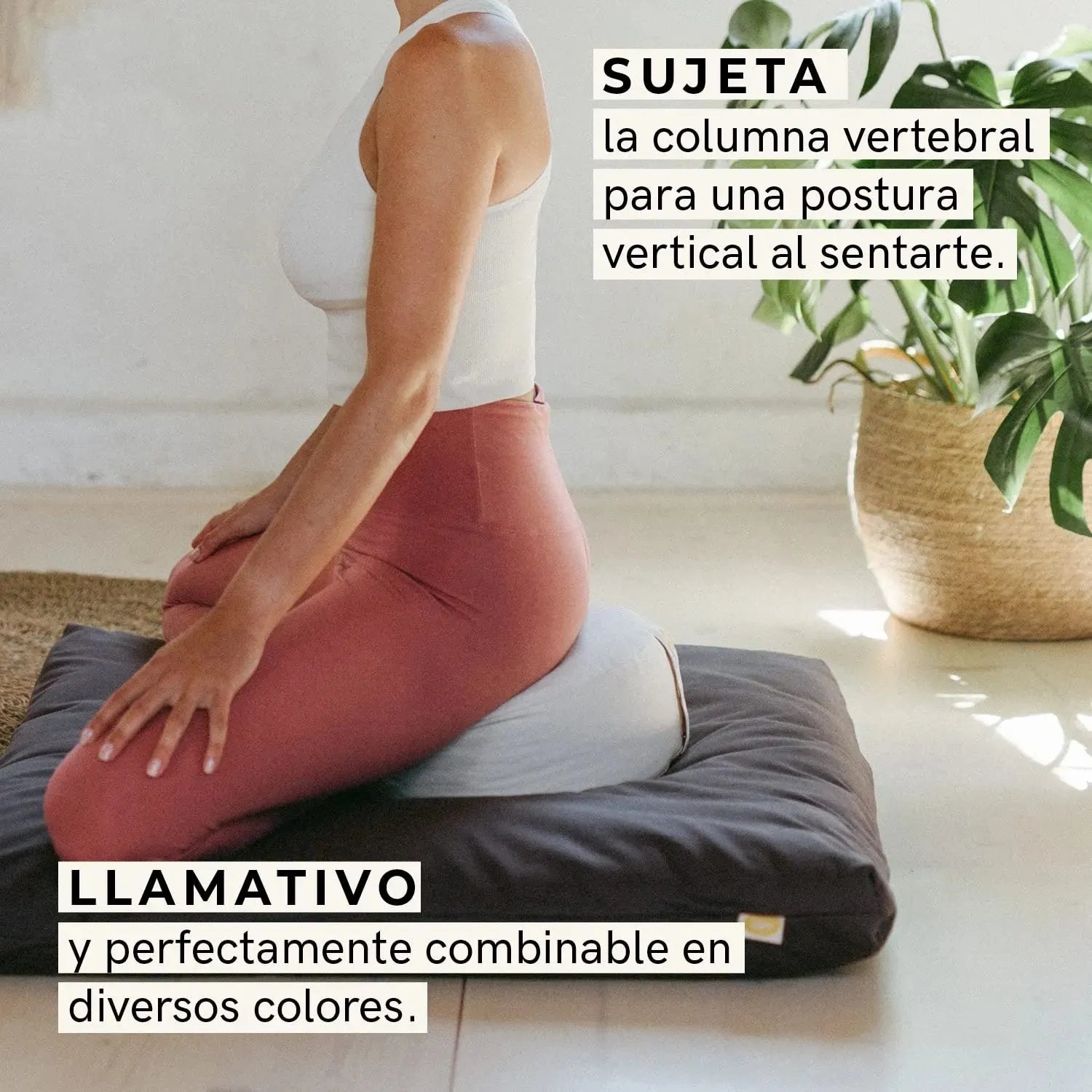 Cojín Meditación Yoga Lotus - Altura 15 cm - Relleno de Espelta - Cubierta en Algodón Lavable - Cojín Suelo Redondo Casa Lotuscrafts Almohadillas para los ojos, Casa, Lotuscrafts SacrificioShop sacrificioshop.com {{ shop.shopifyCountryName }} {{ shop.shopifyProvince }} B01N6GK5UX 34.95 Cojín Meditación Yoga Lotus - Altura 15 cm - Relleno de Espelta - Cubierta en Algodón Lavable - Cojín Suelo Redondo - Default Title