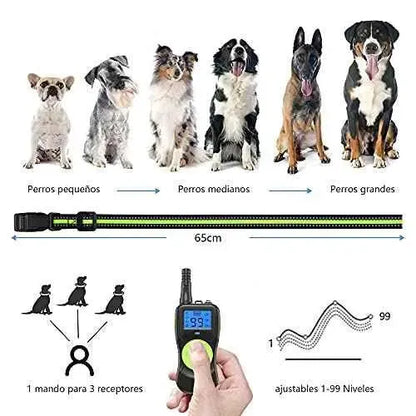 Collar de Adiestramiento para Perros, IPX7 Collar Recargable a Prueba de Agua, 4 Modos de Entrenamiento y Rango Remoto de 500 Metros Productos para animales IHPUKIDI Collares antiladridos, IHPUKIDI, Productos para animales SacrificioShop sacrificioshop.com {{ shop.shopifyCountryName }} {{ shop.shopifyProvince }} B092YZRT7M 32.99 Collar de Adiestramiento para Perros, IPX7 Collar Recargable a Prueba de Agua, 4 Modos de Entrenamiento y Rango Remoto de 500 Metros - Default Title