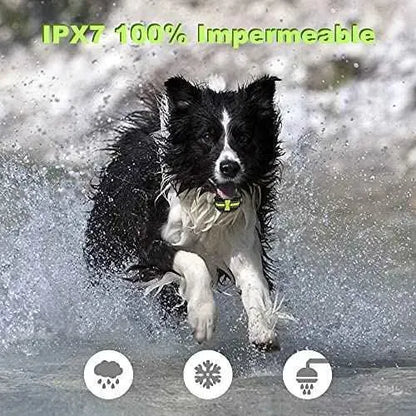 Collar de Adiestramiento para Perros, IPX7 Collar Recargable a Prueba de Agua, 4 Modos de Entrenamiento y Rango Remoto de 500 Metros Productos para animales IHPUKIDI Collares antiladridos, IHPUKIDI, Productos para animales SacrificioShop sacrificioshop.com {{ shop.shopifyCountryName }} {{ shop.shopifyProvince }} B092YZRT7M 32.99 Collar de Adiestramiento para Perros, IPX7 Collar Recargable a Prueba de Agua, 4 Modos de Entrenamiento y Rango Remoto de 500 Metros - Default Title