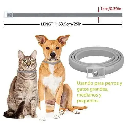 DEWEL Collar contra Pulgas Garrapatas y Mosquitos para Perros y Gatos, Control Antipulgas Sirve 8 Meses de Protección, 63,5 cm Productos para animales DEWEL Collares antipulgas y garrapatas, DEWEL, Productos para animales SacrificioShop sacrificioshop.com {{ shop.shopifyCountryName }} {{ shop.shopifyProvince }} B07GP2XDC3 12.74 DEWEL Collar contra Pulgas Garrapatas y Mosquitos para Perros y Gatos, Control Antipulgas Sirve 8 Meses de Protección, 63,5 cm - Default Title