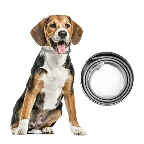 DEWEL Collar contra Pulgas Garrapatas y Mosquitos para Perros y Gatos, Control Antipulgas Sirve 8 Meses de Protección, 63,5 cm Productos para animales DEWEL Collares antipulgas y garrapatas, DEWEL, Productos para animales SacrificioShop sacrificioshop.com {{ shop.shopifyCountryName }} {{ shop.shopifyProvince }} B07GP2XDC3 12.74 DEWEL Collar contra Pulgas Garrapatas y Mosquitos para Perros y Gatos, Control Antipulgas Sirve 8 Meses de Protección, 63,5 cm - Default Title