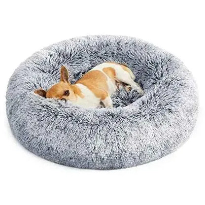 FEANDREA Cama de Perros, Cama para Mascotas, Cojín Central Extraíble y Lavable, Alfombra de Felpa Suave y Mullida, 60 cm de Diámetro Productos para animales FEANDREA Camas, FEANDREA, Productos para animales SacrificioShop sacrificioshop.com {{ shop.shopifyCountryName }} {{ shop.shopifyProvince }} B087PXTRLW 25.99 FEANDREA Cama de Perros, Cama para Mascotas, Cojín Central Extraíble y Lavable, Alfombra de Felpa Suave y Mullida, 60 cm de Diámetro - Default Title