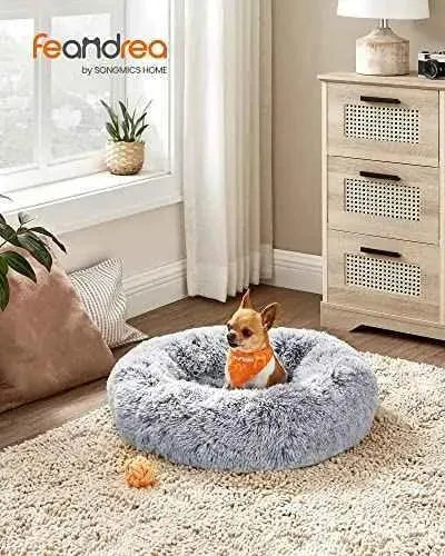 FEANDREA Cama de Perros, Cama para Mascotas, Cojín Central Extraíble y Lavable, Alfombra de Felpa Suave y Mullida, 60 cm de Diámetro Productos para animales FEANDREA Camas, FEANDREA, Productos para animales SacrificioShop sacrificioshop.com {{ shop.shopifyCountryName }} {{ shop.shopifyProvince }} B087PXTRLW 25.99 FEANDREA Cama de Perros, Cama para Mascotas, Cojín Central Extraíble y Lavable, Alfombra de Felpa Suave y Mullida, 60 cm de Diámetro - Default Title