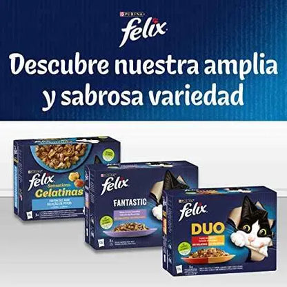 Purina Felix Fantastic Comida Húmeda para Gato Adulto Pack Surtido, 44 sobres de 85g Productos para animales Felix Felix, Húmeda, Productos para animales SacrificioShop sacrificioshop.com {{ shop.shopifyCountryName }} {{ shop.shopifyProvince }} B08WSYSQVL 19.29 Purina Felix Fantastic Comida Húmeda para Gato Adulto Pack Surtido, 44 sobres de 85g - Default Title